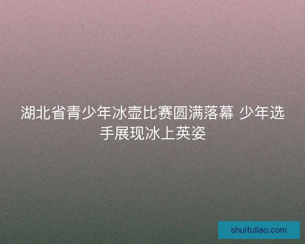 湖北省青少年冰壶比赛圆满落幕 少年选手展现冰上英姿