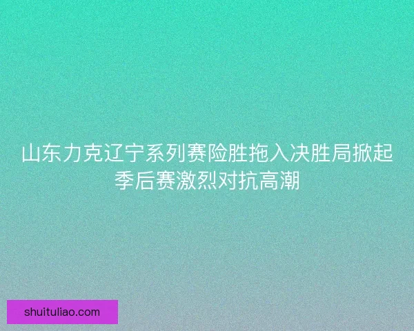 山东力克辽宁系列赛险胜拖入决胜局掀起季后赛激烈对抗高潮