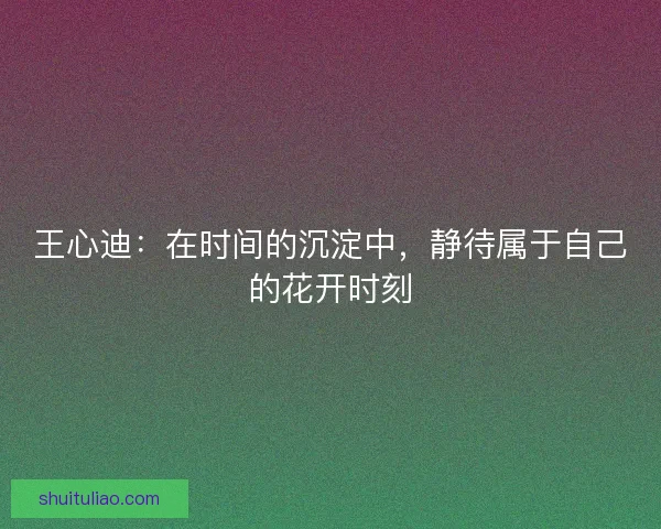 王心迪：在时间的沉淀中，静待属于自己的花开时刻