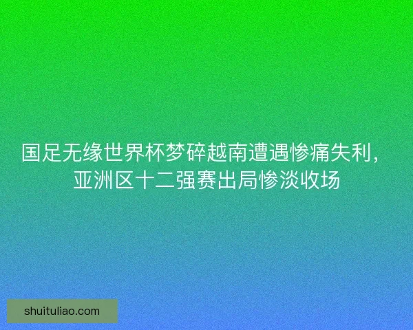 国足无缘世界杯梦碎越南遭遇惨痛失利,亚洲区十二强赛出局惨淡收场 国足无缘世界杯梦碎越南遭遇惨痛失利,亚洲区十二强赛出局惨淡收场