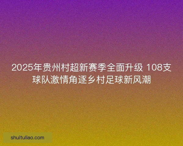 2025年贵州村超新赛季全面升级 108支球队激情角逐乡村足球新风潮
