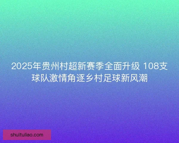 2025年贵州村超新赛季全面升级 108支球队激情角逐乡村足球新风潮