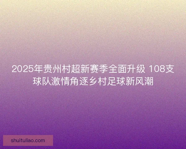 2025年贵州村超新赛季全面升级 108支球队激情角逐乡村足球新风潮