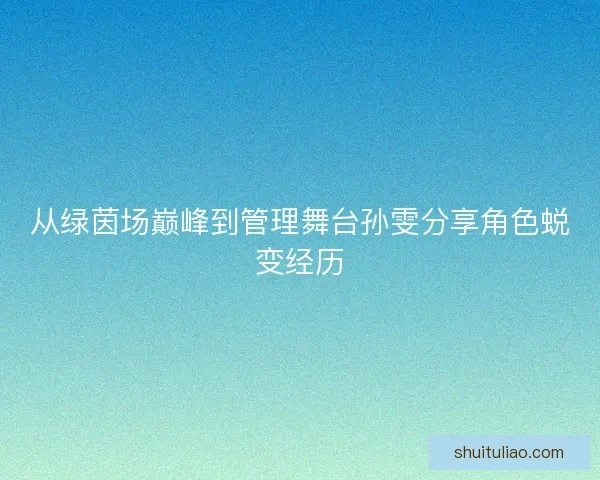 从绿茵场巅峰到管理舞台孙雯分享角色蜕变经历 从绿茵场巅峰到管理舞台孙雯分享角色蜕变经历
